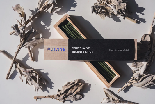 日本 Divina 白鼠尾草線香 40支入