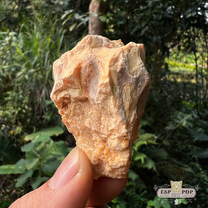 台灣 ESPpop 靈性樹脂薰香 Copal 馬雅科巴樹脂 50g|墨西哥當地直送