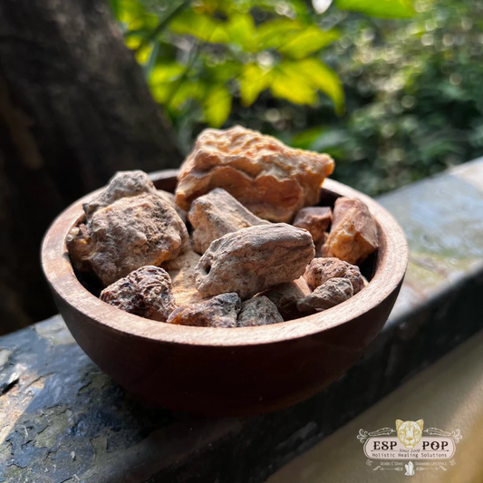 台灣 ESPpop 靈性樹脂薰香 Copal 馬雅科巴樹脂 50g|墨西哥當地直送