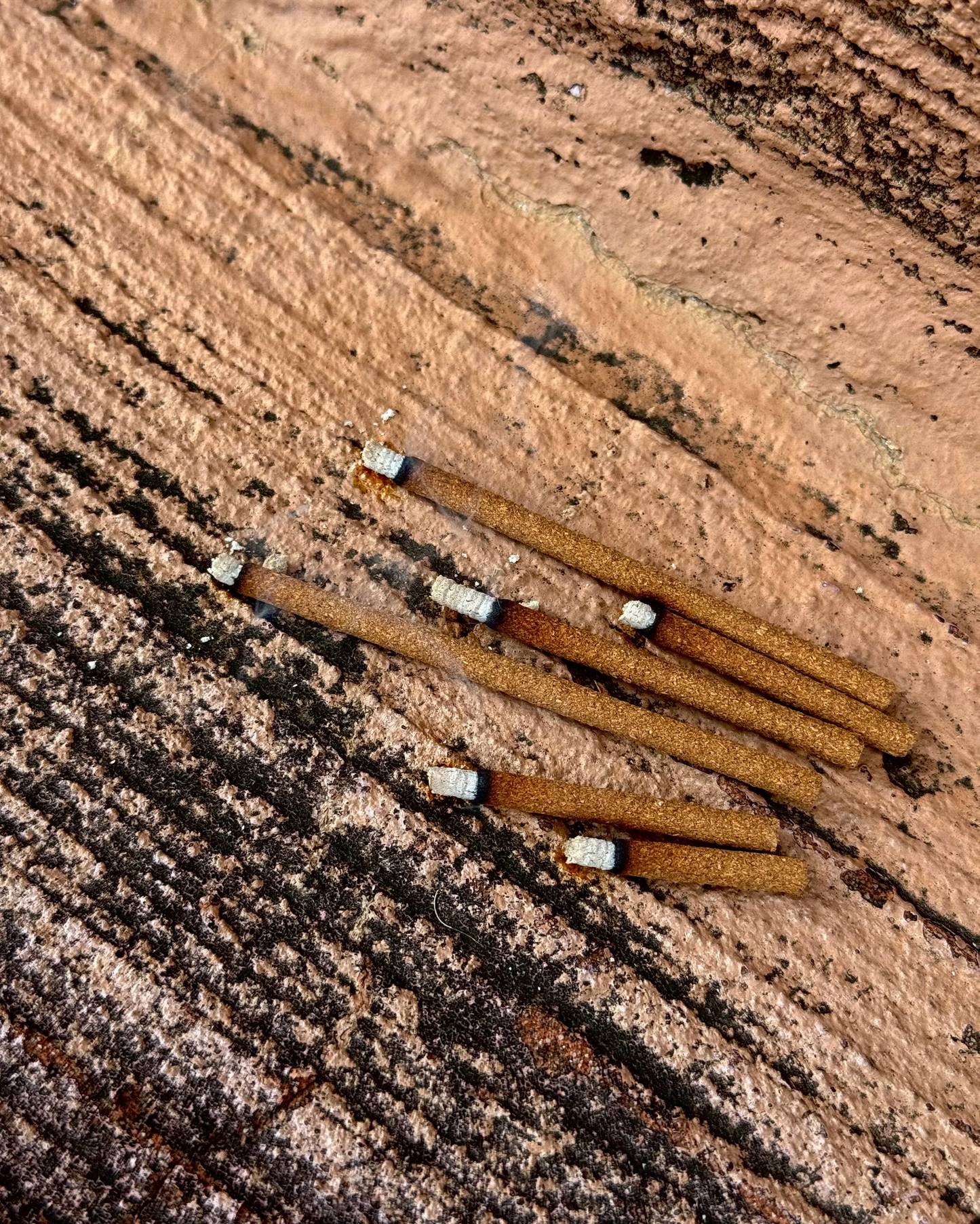 台灣 肆雀 100% 全息聖木 / 線香