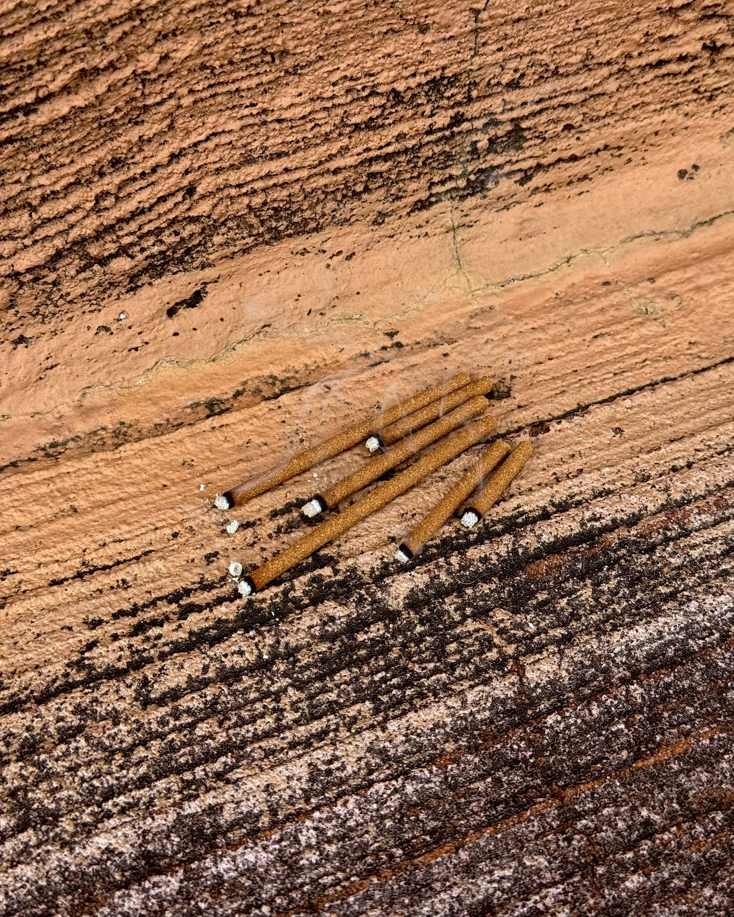 台灣 肆雀 100% 全息聖木 / 線香