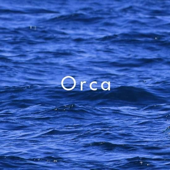 日本春香堂 Shunkohdo 虎鯨 Orca 線香 20支入