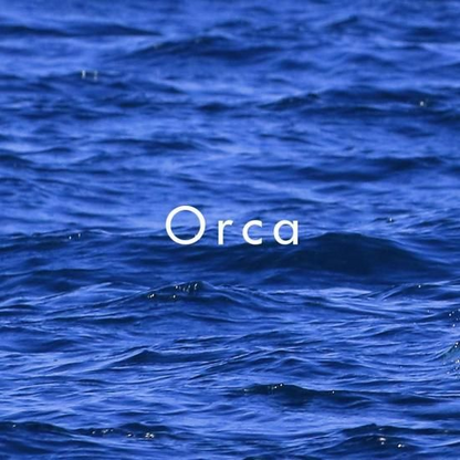 日本春香堂 Shunkohdo 虎鯨 Orca 線香 20支入