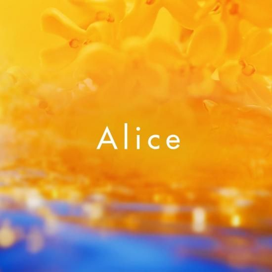 日本春香堂 Shunkohdo 金木犀 Alice 線香 20支入