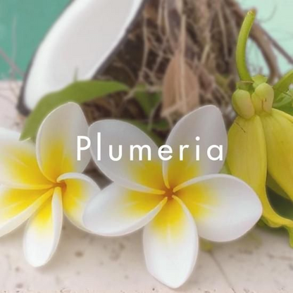 日本春香堂 Shunkohdo 雞蛋花 Plumeria 線香 20支入