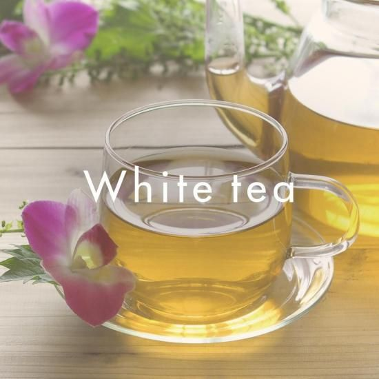 日本春香堂 Shunkohdo 白茶 White tea 線香 20支入