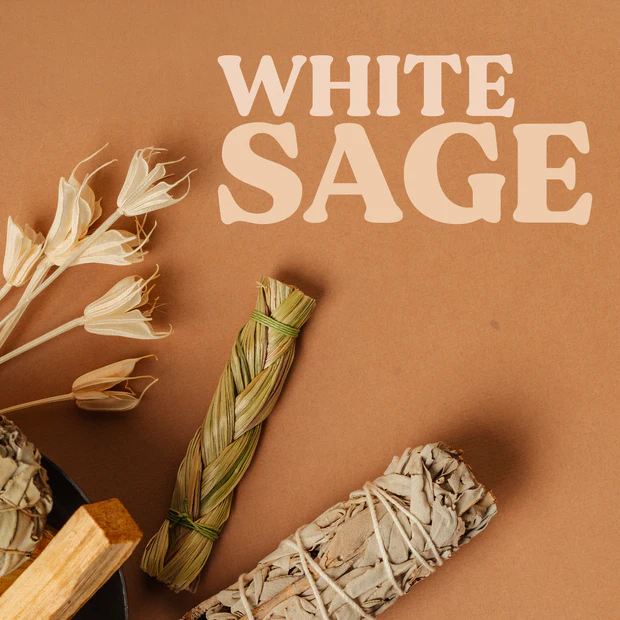 法國 Bloom 魔法儀式 Magic Ritual 天然手工線香 25支入