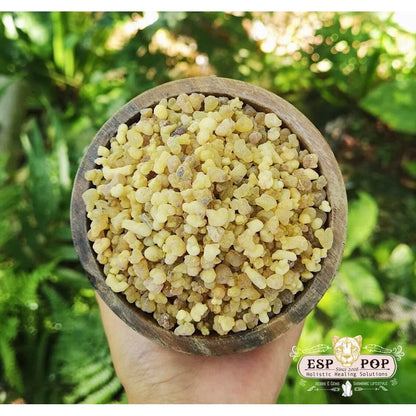 台灣 ESPpop 靈性樹脂薰香 Frankincense 葉門乳香 50g｜冥想與靜心