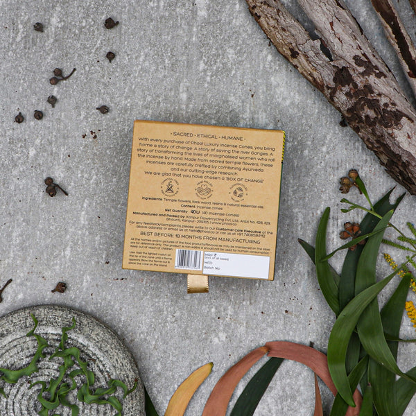 印度 PHOOL 尤加利 Eucalyptus 環保有機天然香錐 40顆入