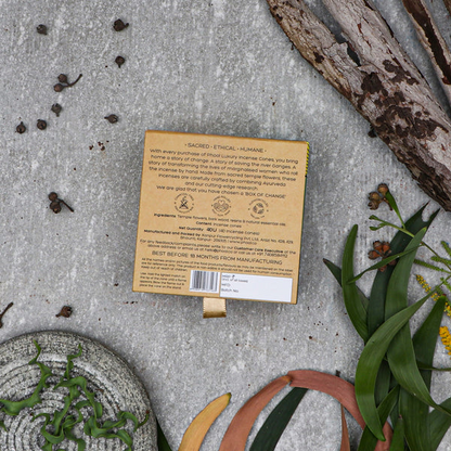 印度 PHOOL 尤加利 Eucalyptus 環保有機天然香錐 40顆入