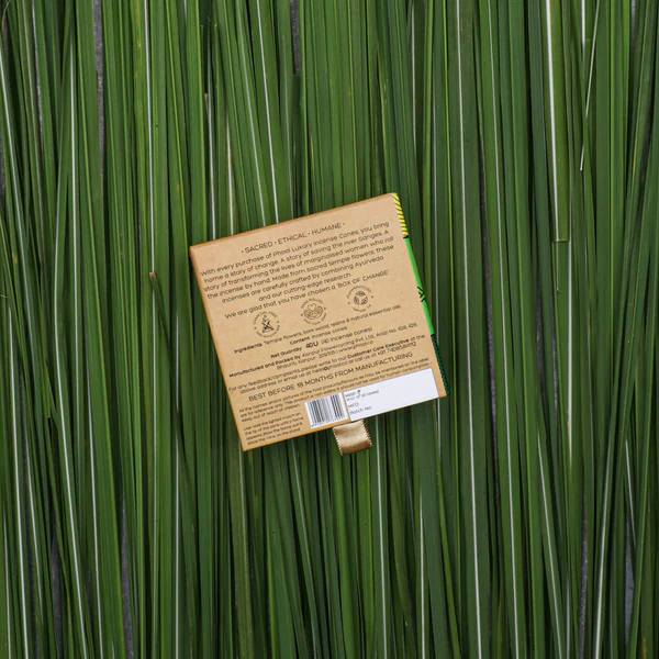 印度 PHOOL 香茅 Citronella 環保有機天然香錐 40顆入