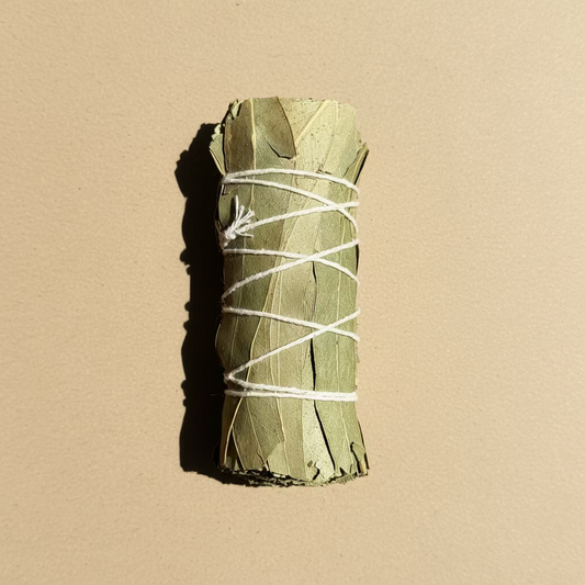 植物薰香仗 天然薰香｜尤加利草杖