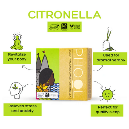 印度 PHOOL 香茅 Citronella 環保有機天然香錐 40顆入