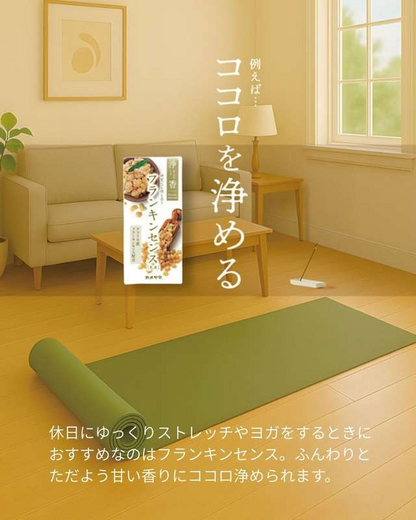 日本 Kameyama 淨香 Kiyomeko 鼠尾草線香 174支入
