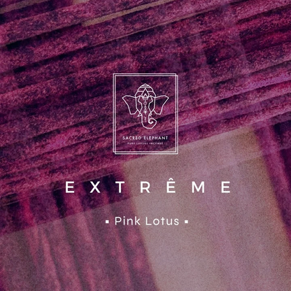 英國 Sacred Elephant - Extreme 極致系列・Pink Lotus 粉紅蓮花 線香 10 支入