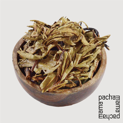 台灣 ESPpop 天然靈性薰香 Yerba Santa 北美聖草 20g｜祖父的草藥